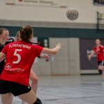 _DSC0278